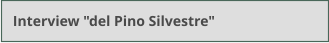 Interview "del Pino Silvestre"