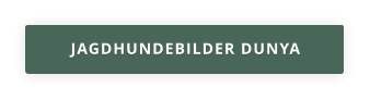 JAGDHUNDEBILDER DUNYA