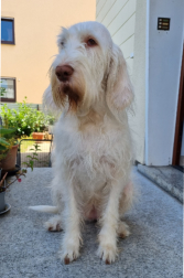 Chiara im Juli 2023, mit 5 Jahren