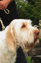 Dunya mit 2 Jahren