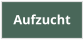 Aufzucht