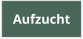 Aufzucht
