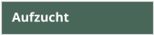 Aufzucht