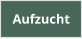 Aufzucht
