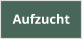 Aufzucht