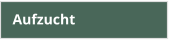 Aufzucht